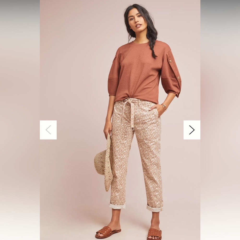 Anthropologie Wanderer Utility Pants size 29